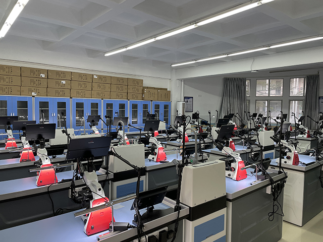 �п����������uϵ�y